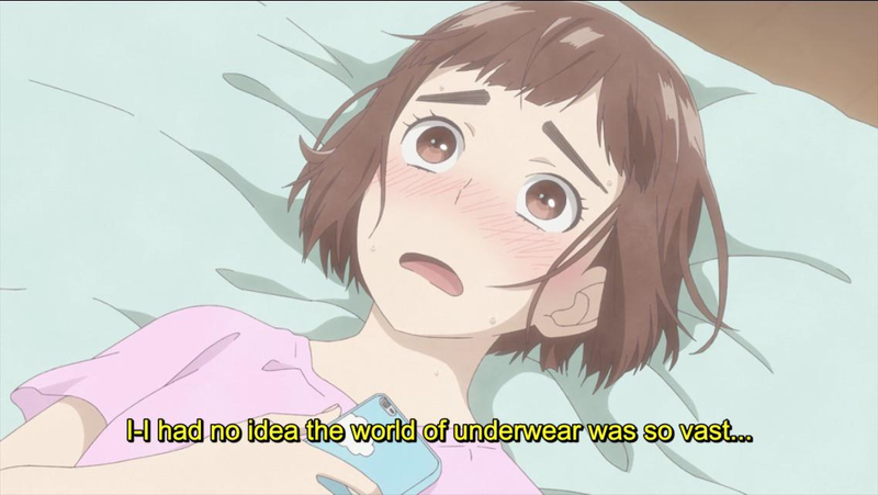 And so began an ill-advised and endless odyssey into anime pantsu shows...